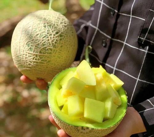 娱乐内吃瓜,揭秘明星们的“吃瓜”日常  第2张