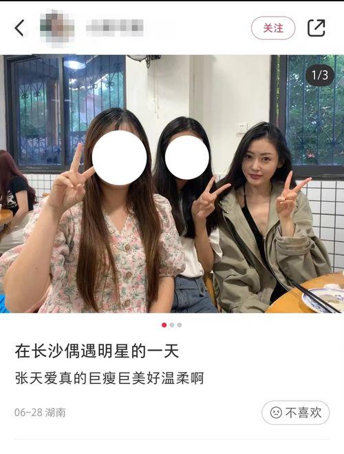 浪姐最新爆料视频大全下载,精彩瞬间回顾，揭秘幕后故事