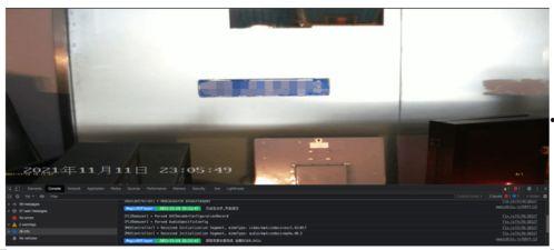 外媒爆料黑匣子视频播放 第3张 外媒爆料黑匣子视频播放 第3张